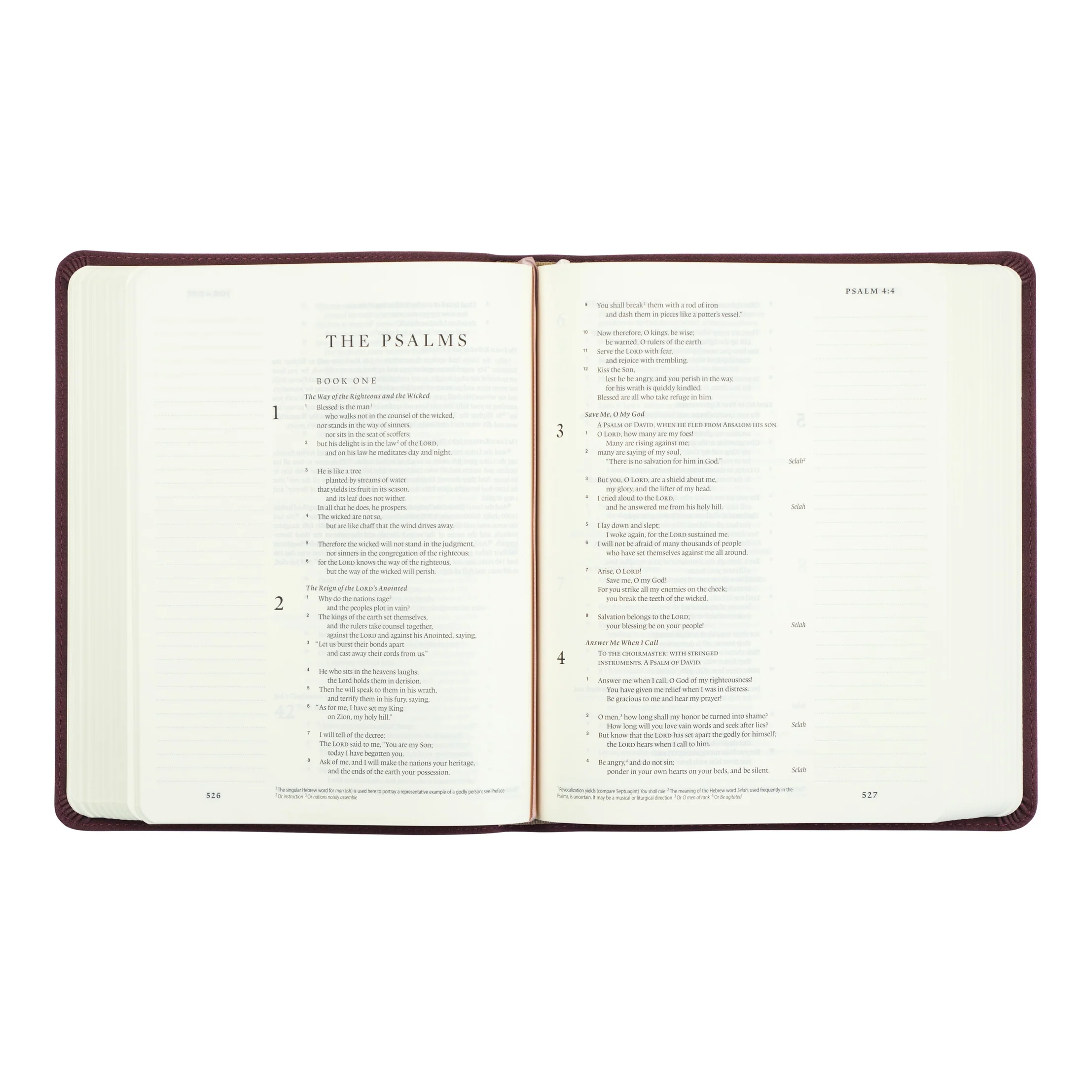 ESV Hosanna Revival Journaling Bible : Helena Theme - Image 5