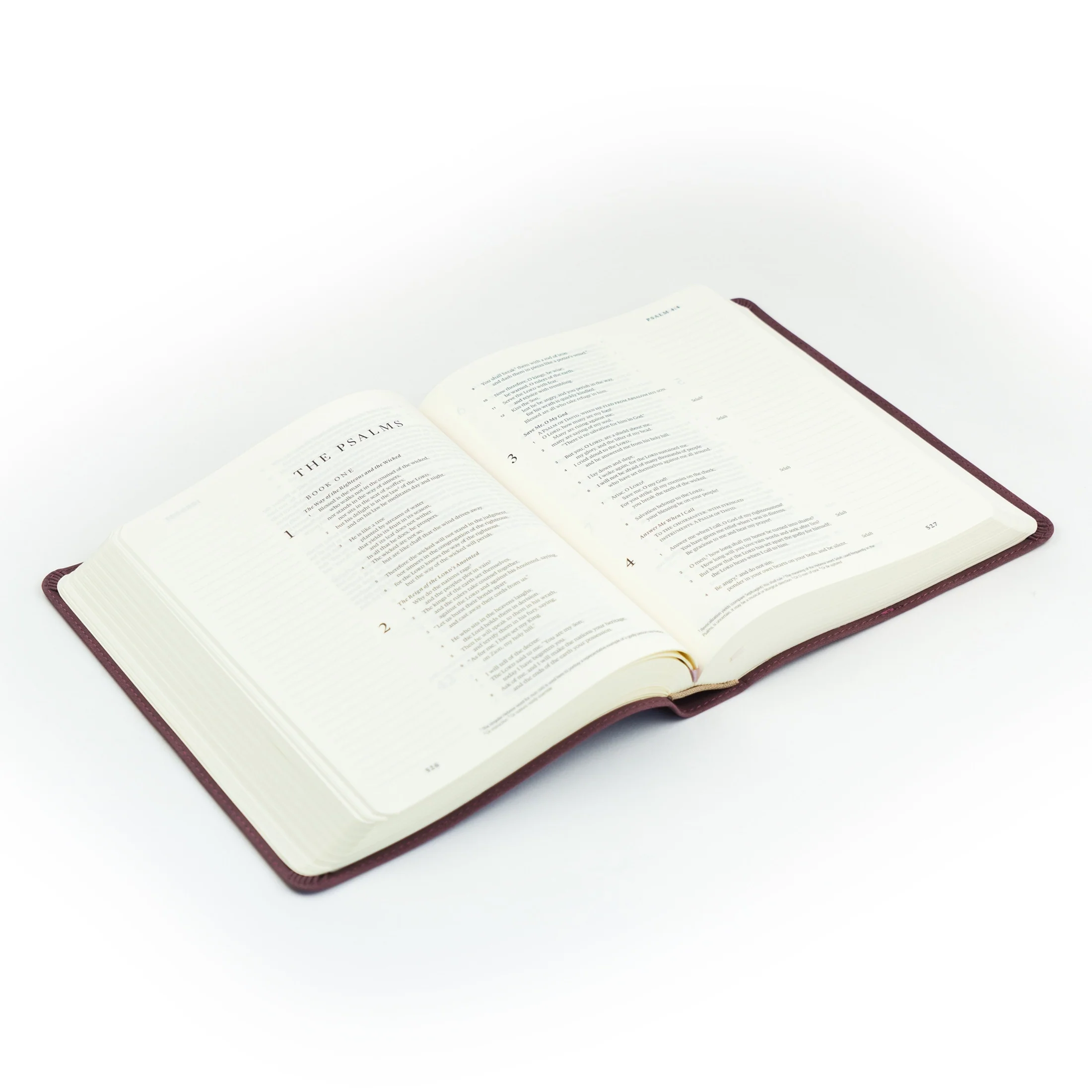ESV Hosanna Revival Journaling Bible : Helena Theme - Image 6