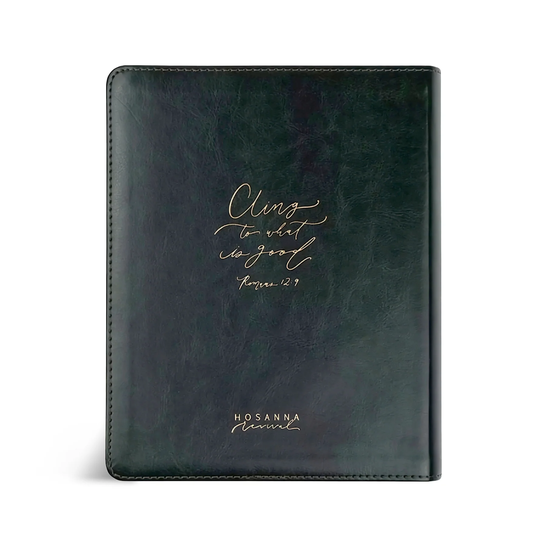 ESV Hosanna Revival Journaling Bible : Hyde Park Theme - Image 4
