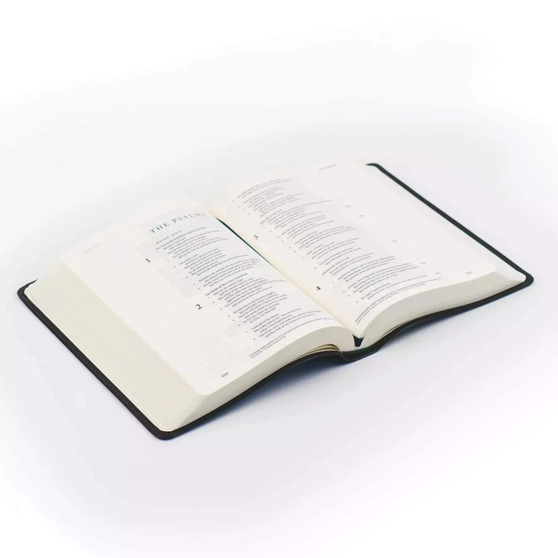 ESV Hosanna Revival Journaling Bible : Hyde Park Theme - Image 6