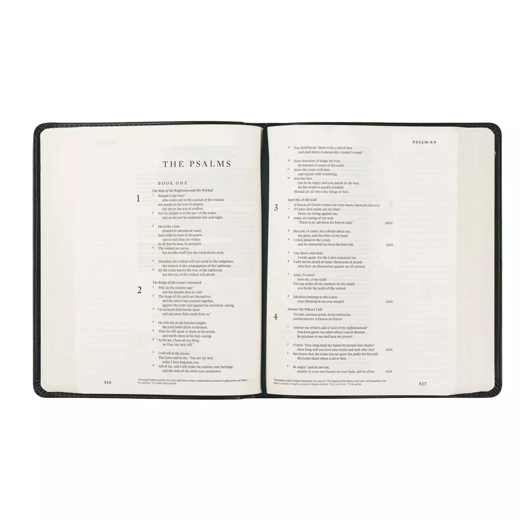 ESV Hosanna Revival Journaling Bible : Hyde Park Theme - Image 7