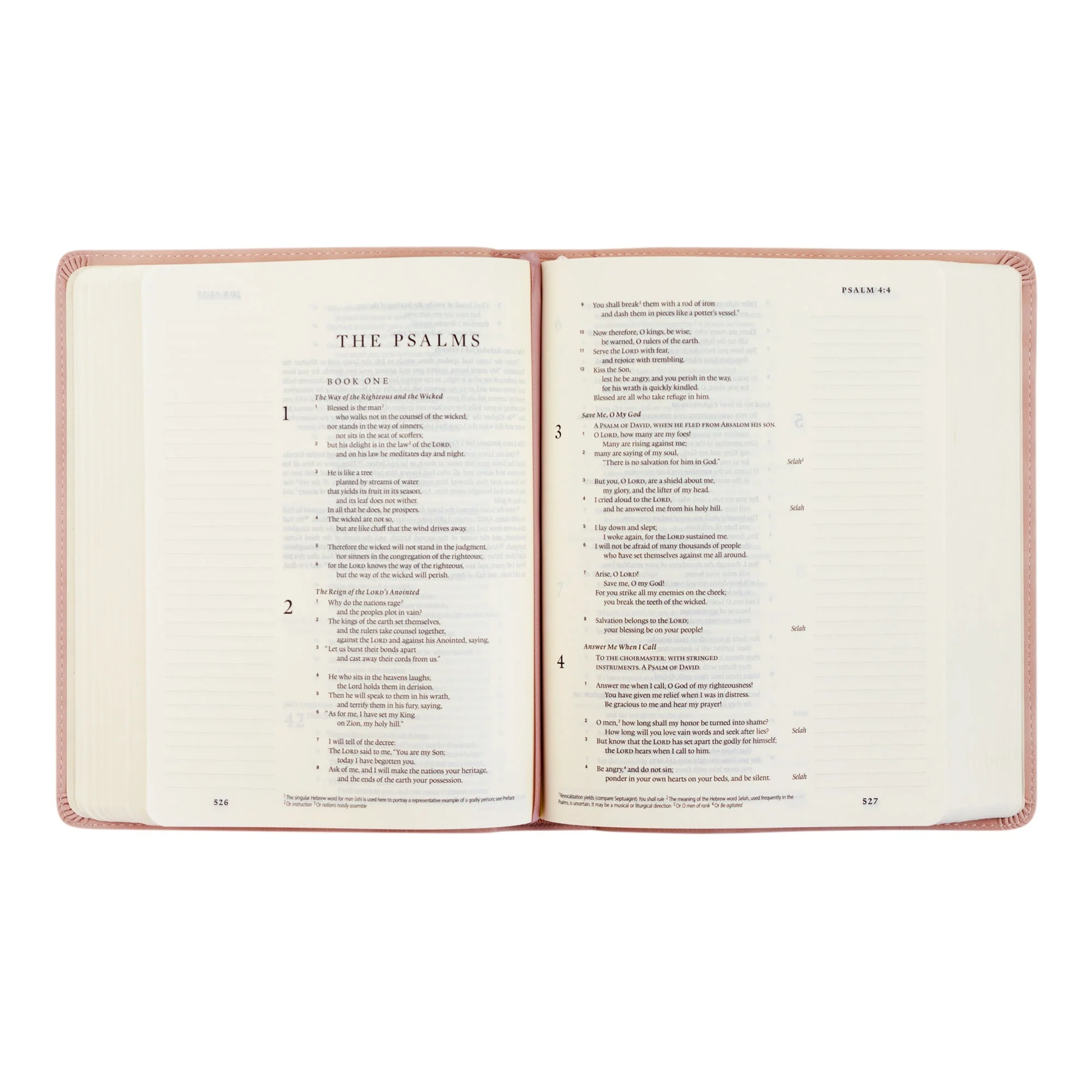 ESV Hosanna Revival Journaling Bible: Shiloh - Image 6