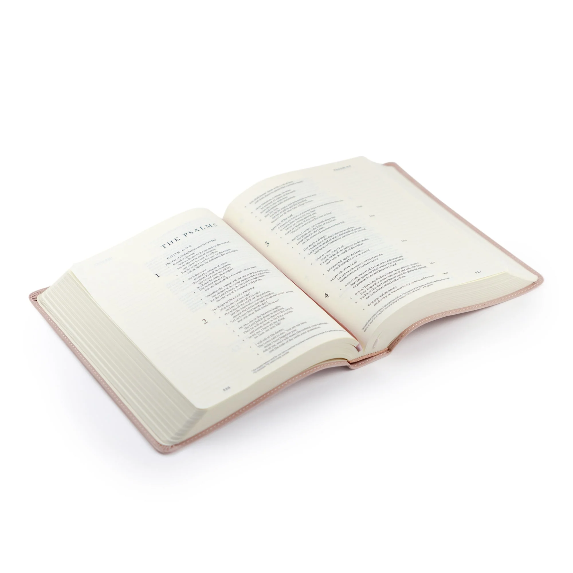 ESV Hosanna Revival Journaling Bible: Shiloh - Image 7