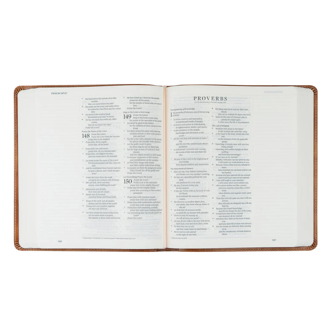 ESV Hosanna Revival Journaling Bible: Sierra Theme - Image 5