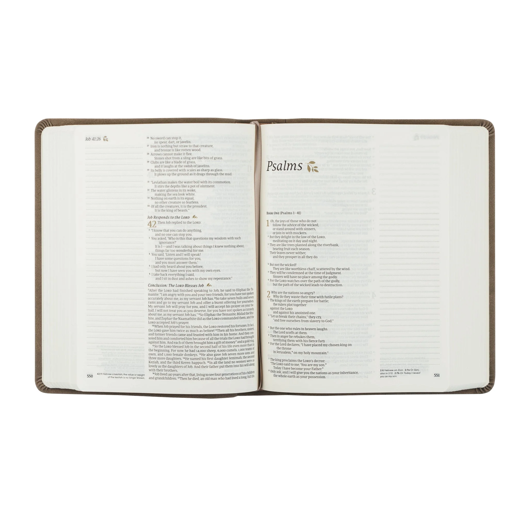 KJV Hosanna Revival Large Print Notetaking Bible: Marlo Theme - Image 5