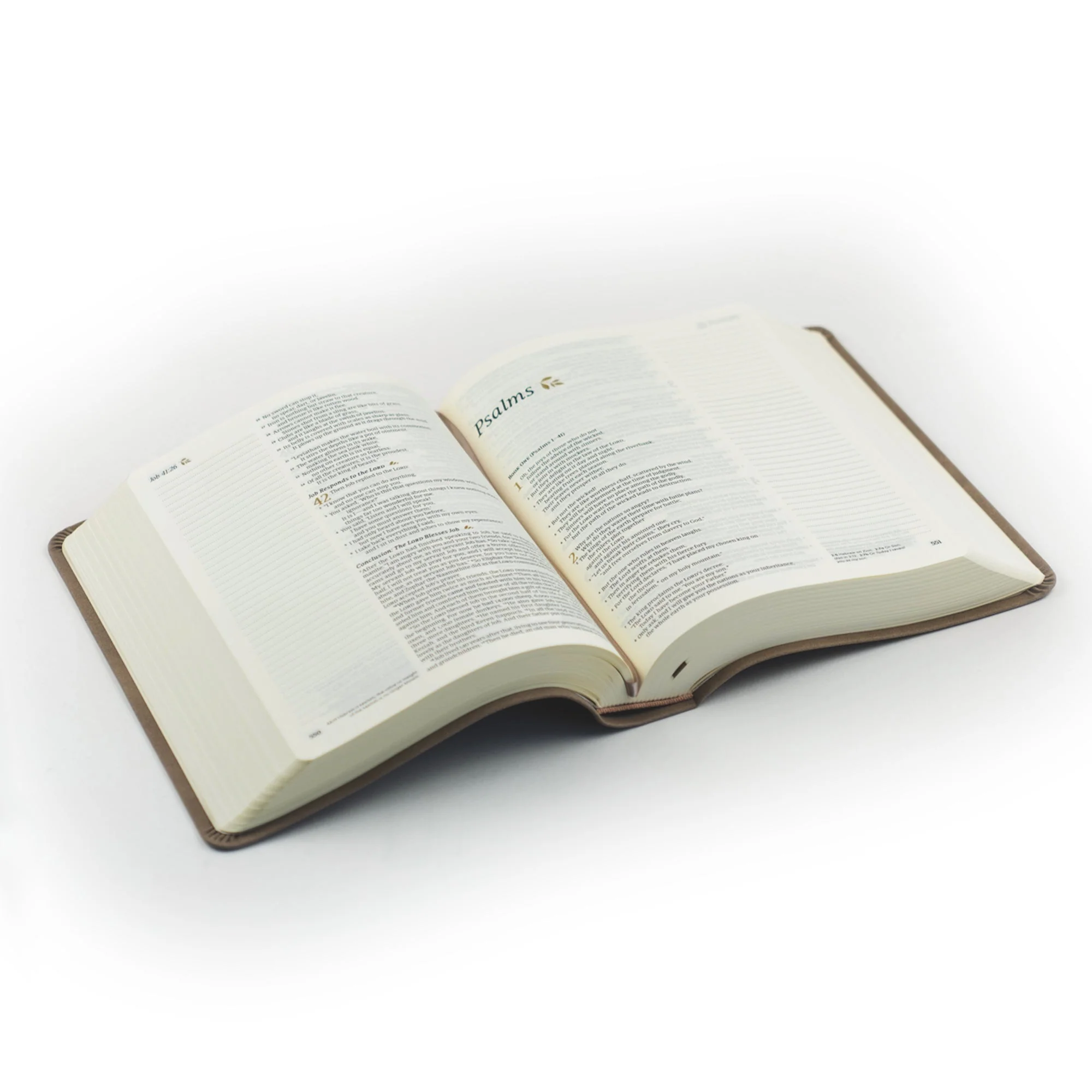 KJV Hosanna Revival Large Print Notetaking Bible: Marlo Theme - Image 6
