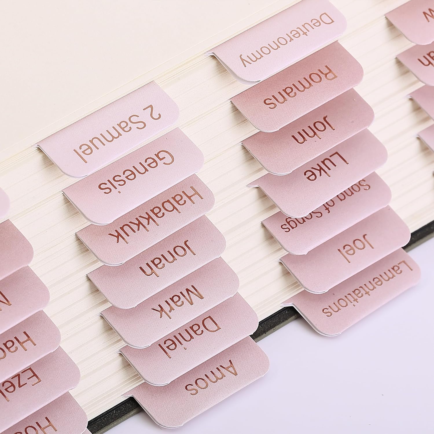 Bible Tabs, 75 Tabs, Pink Shades, Laminated Bible Tabs for Women and Men, Bible Tabs for Study Bible, Bible Index Tabs, Bible Book Tabs, Bible Labels Tabs, Mr Pen Bible Tabs - Image 6