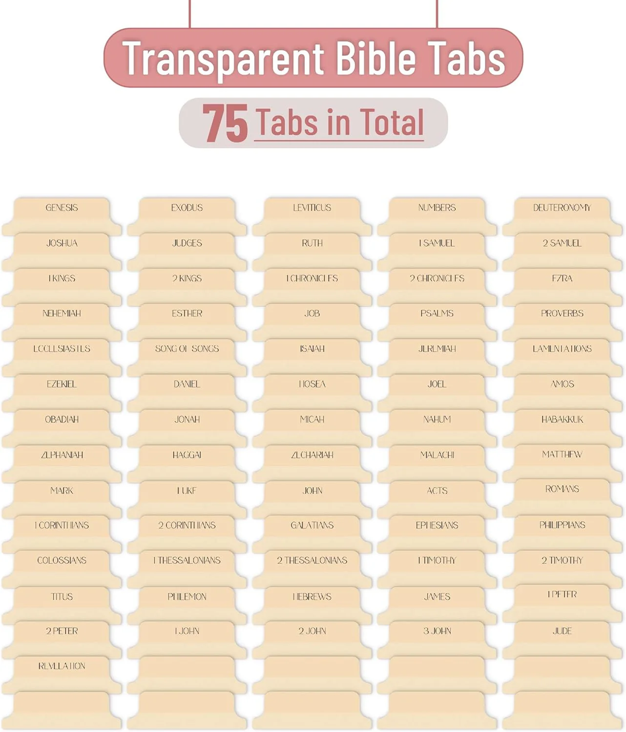 Mr. Pen- Bible Tabs, 75 Tabs, Transparent Cappuccino Laminated Bible Tabs for Women and Men, Bible Tabs for Study Bible Index Tabs, Bible Labels Tabs - Image 2