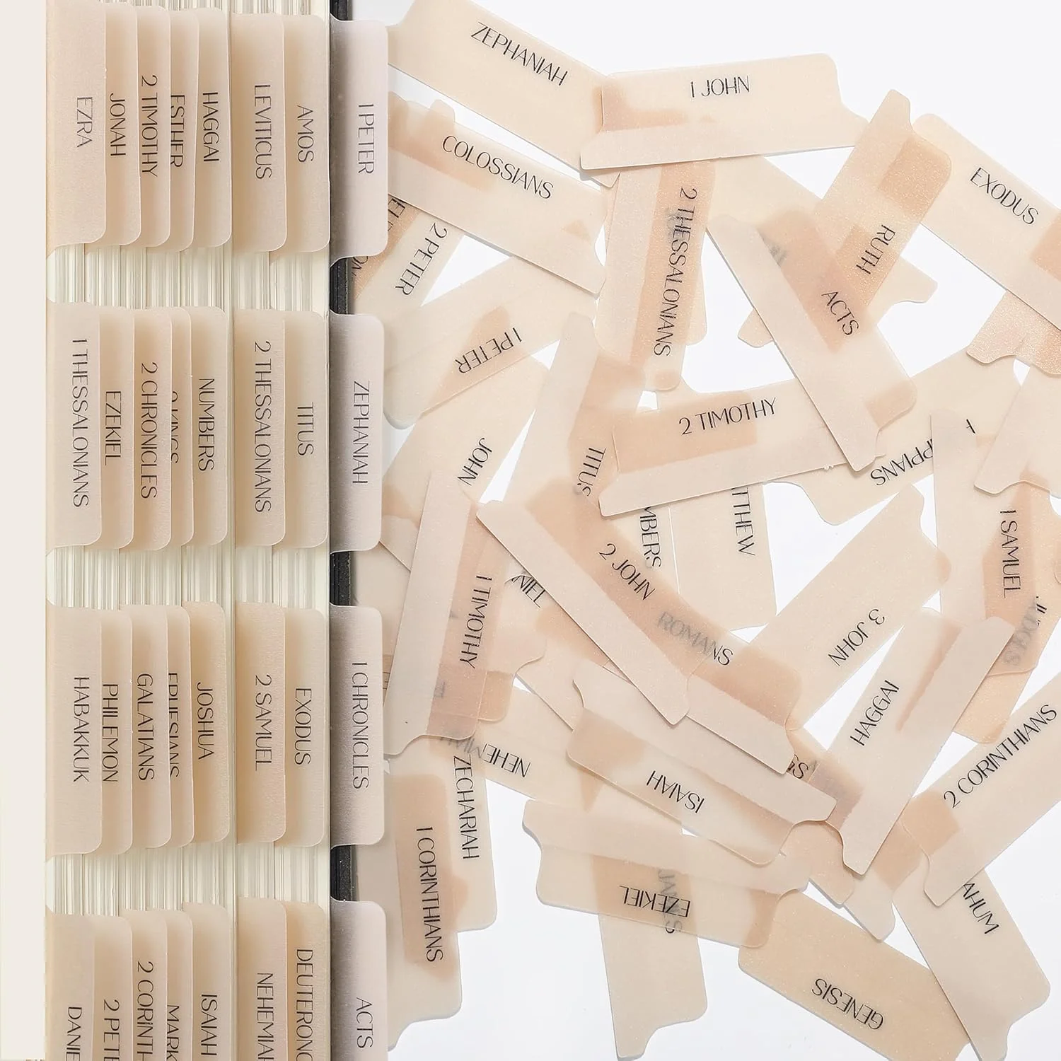 Mr. Pen- Bible Tabs, 75 Tabs, Transparent Cappuccino Laminated Bible Tabs for Women and Men, Bible Tabs for Study Bible Index Tabs, Bible Labels Tabs - Image 8