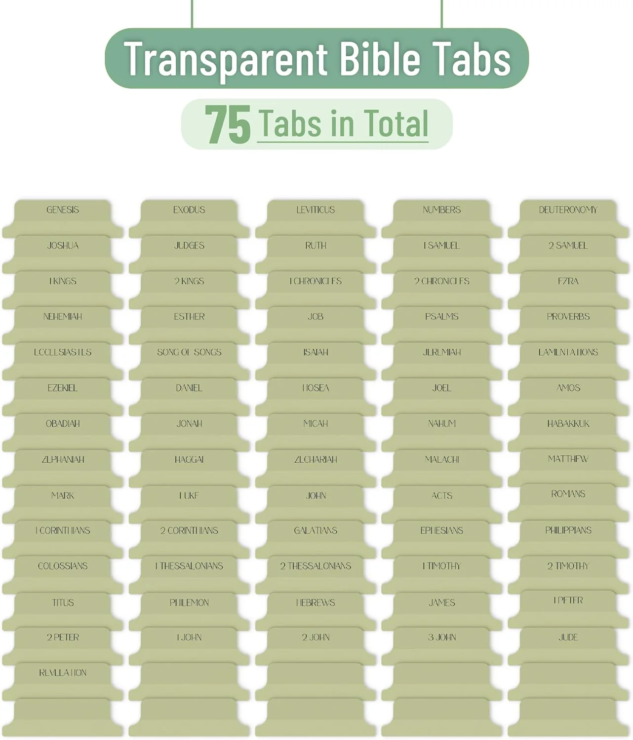 Mr. Pen- Bible Tabs, 75 Tabs, Transparent Olive Green Laminated Bible Tabs for Women and Men, Bible Tabs for Study Bible Index Tabs - Image 2