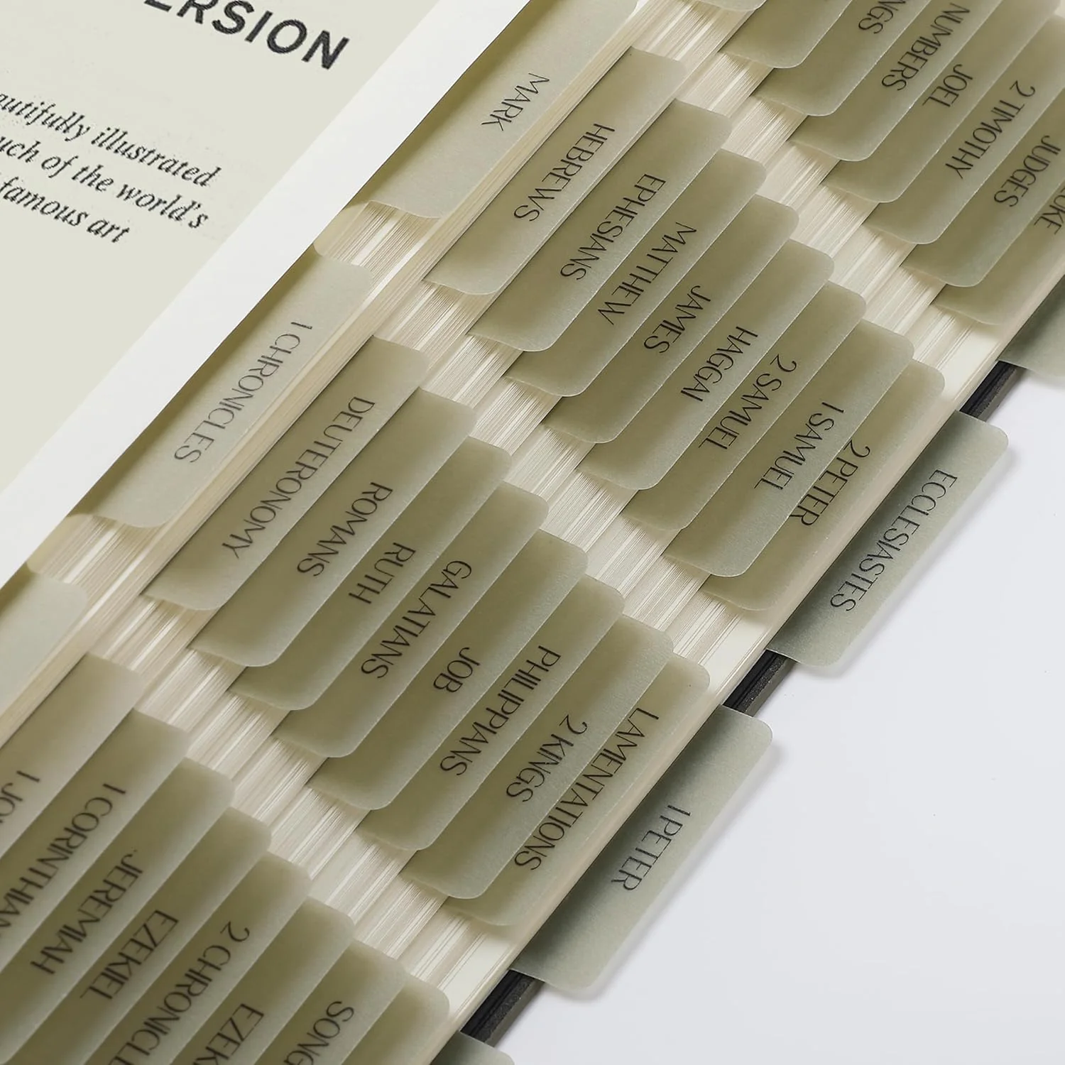 Mr. Pen- Bible Tabs, 75 Tabs, Transparent Olive Green Laminated Bible Tabs for Women and Men, Bible Tabs for Study Bible Index Tabs - Image 6