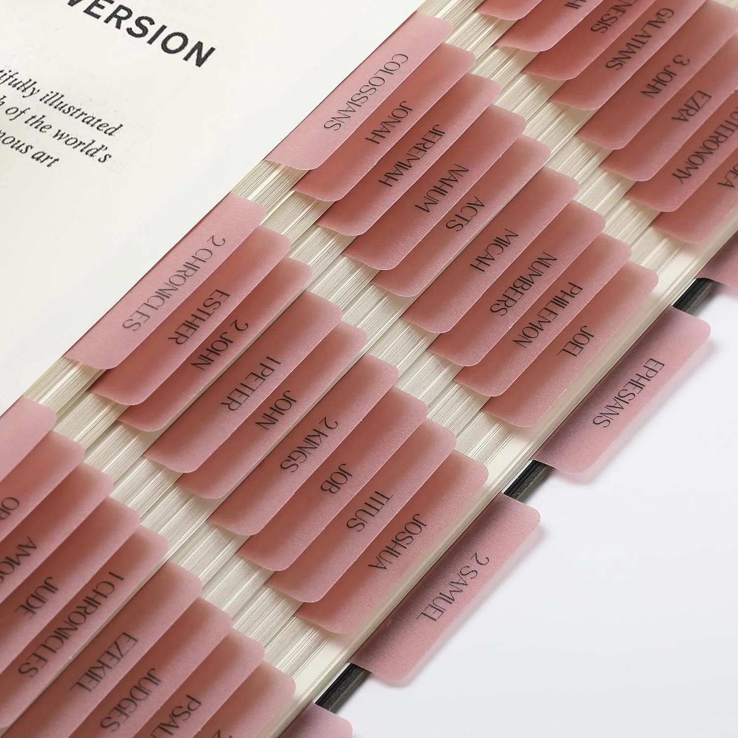 Mr. Pen- Bible Tabs, 75 Tabs, Transparent Pink Laminated Bible Tabs for Women and Men - Image 8