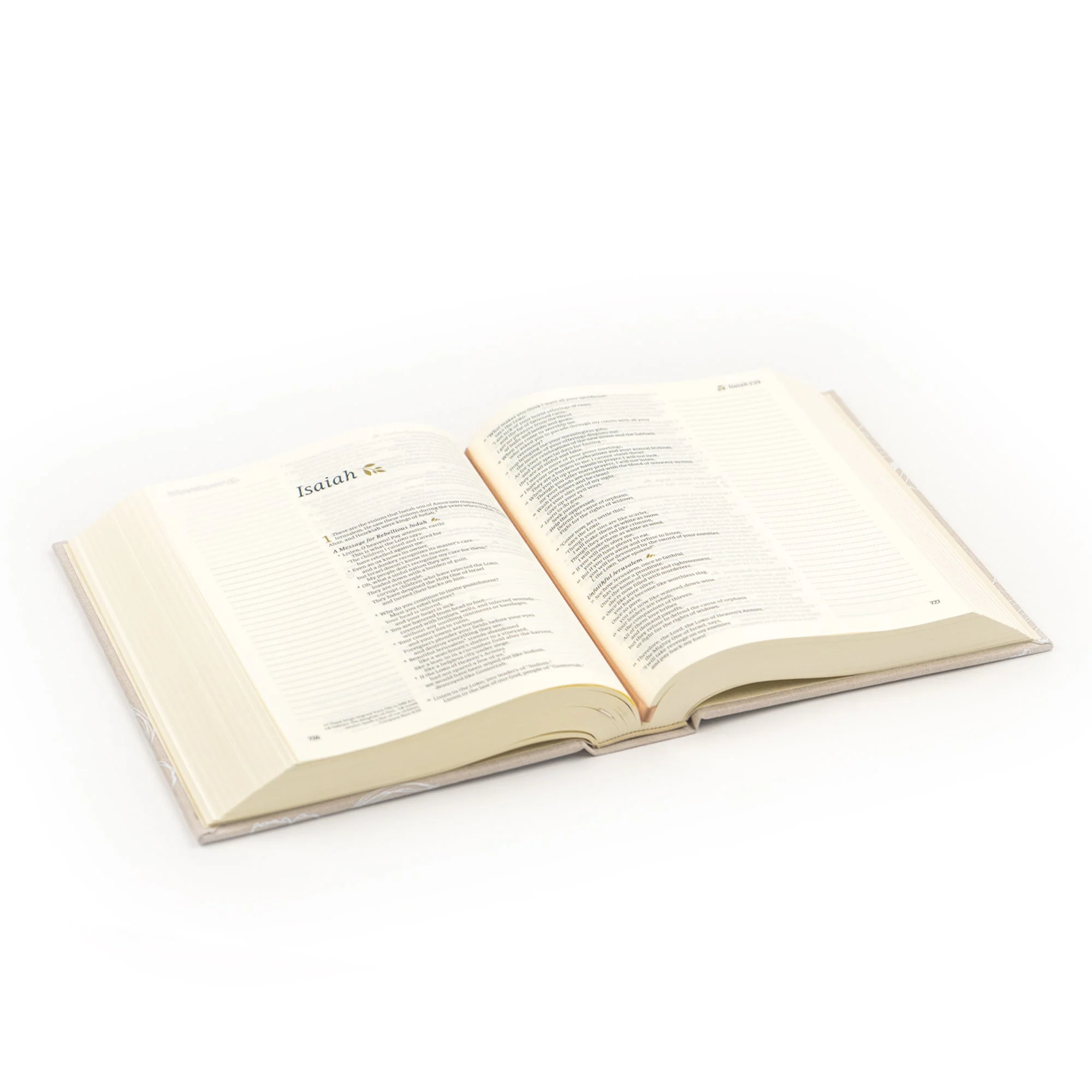 NLT Hosanna Revival Notetaking Bible: Cordova Theme - Image 6