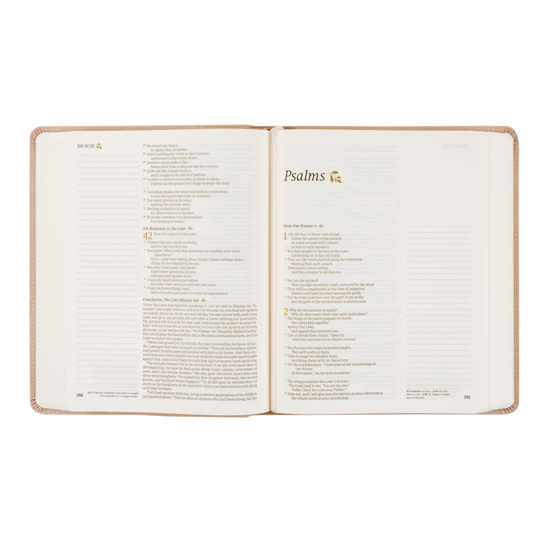 NLT Hosanna Revival Notetaking Bible: Shiloh Theme - Image 5